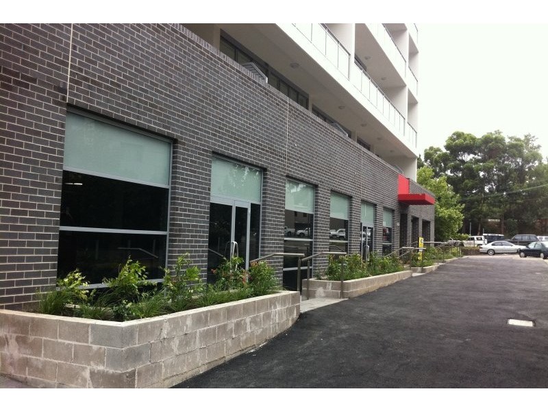 48 Cooper Street, Strathfield NSW 2135