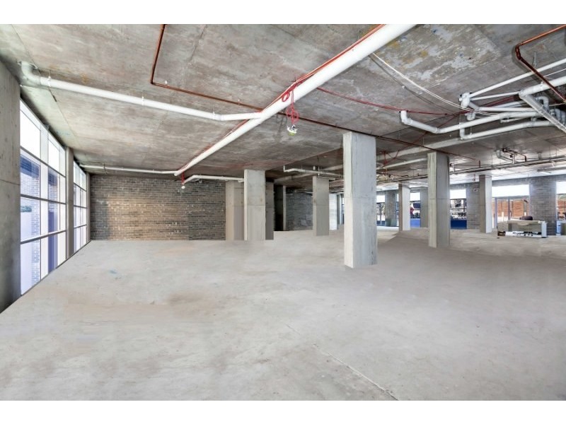 48 Cooper Street, Strathfield NSW 2135