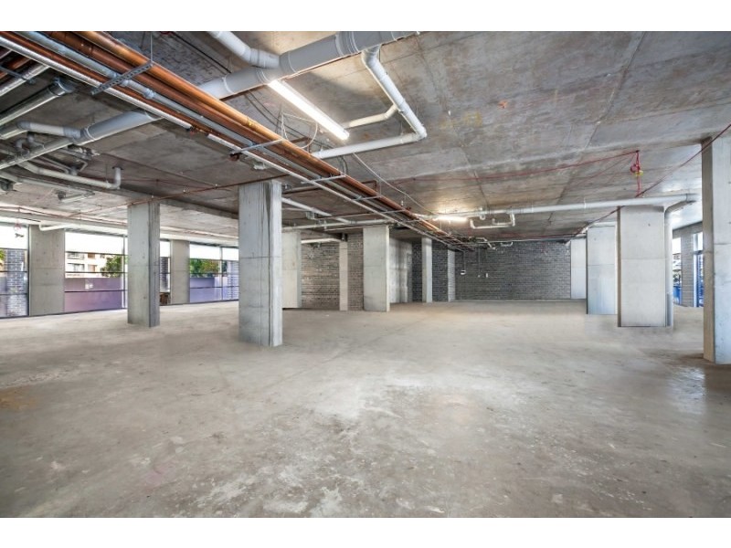 48 Cooper Street, Strathfield NSW 2135