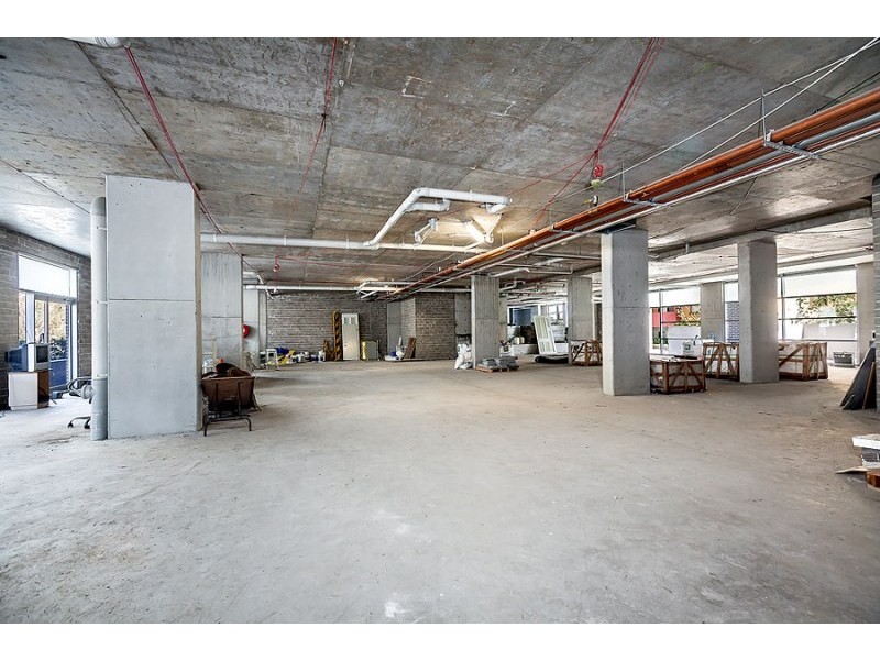 48 Cooper Street, Strathfield NSW 2135