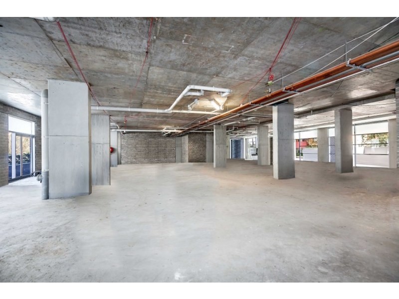 48 Cooper St, Strathfield NSW 2135
