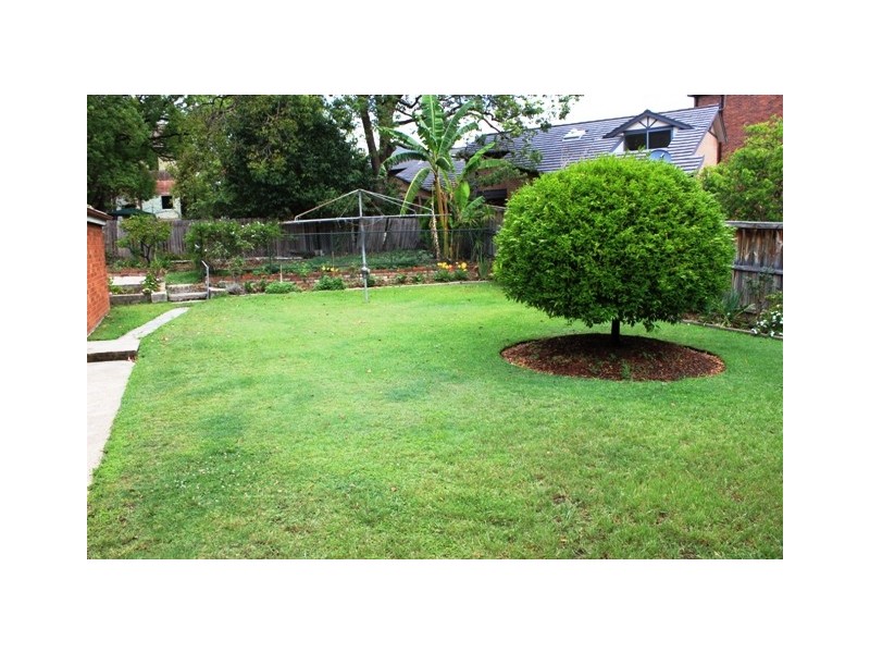 64 Beresford Road, Strathfield NSW 2135