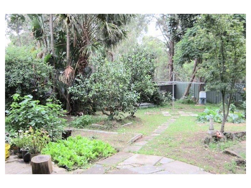 54 Robert Street, Telopea NSW 2117