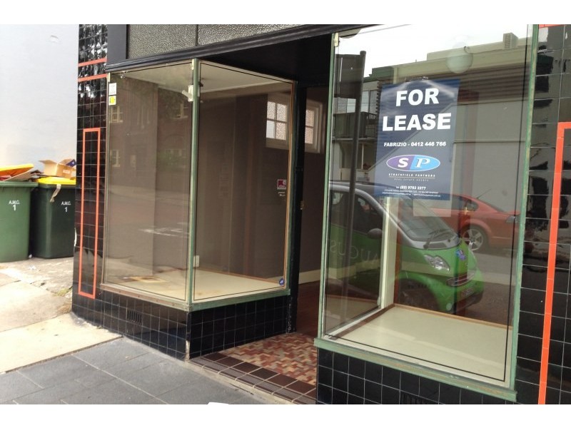 1A Morris Street, Summer Hill NSW 2130