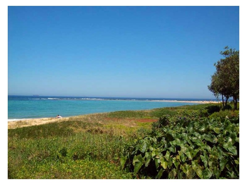 161 Bay Road, Toowoon Bay NSW 2261