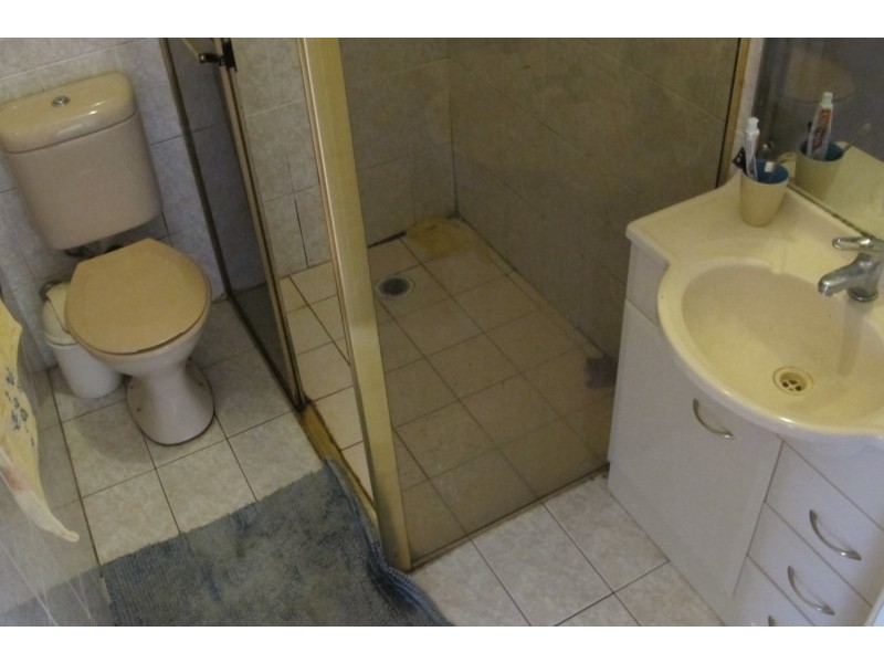 39 Boronia Street, South Granville NSW 2142