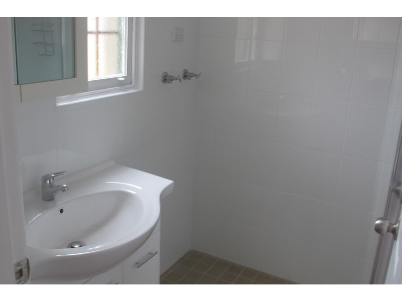 67 Thomas Street, Croydon NSW 2132