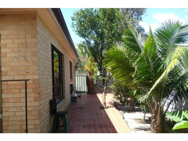 3 Rowley Street, Burwood NSW 2134