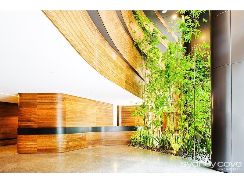 6/3 Carlton Street, Chippendale NSW 2008