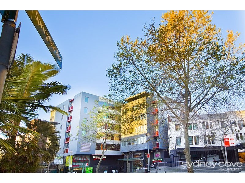 20 Springfield Avenue, Potts Point NSW 2011