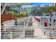 19 Hickson Road, Walsh Bay NSW 2000