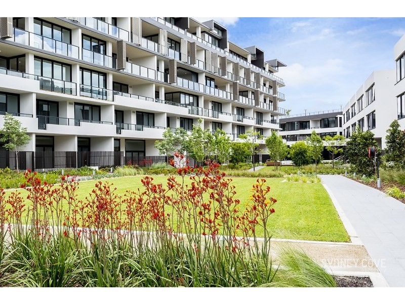 118 Terry Street, Rozelle NSW 2039