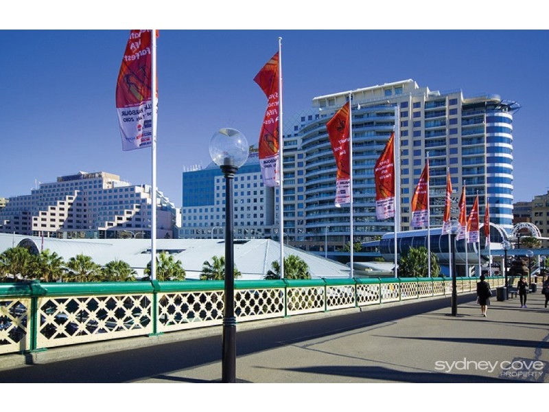 50 Murray Street, Pyrmont NSW 2009