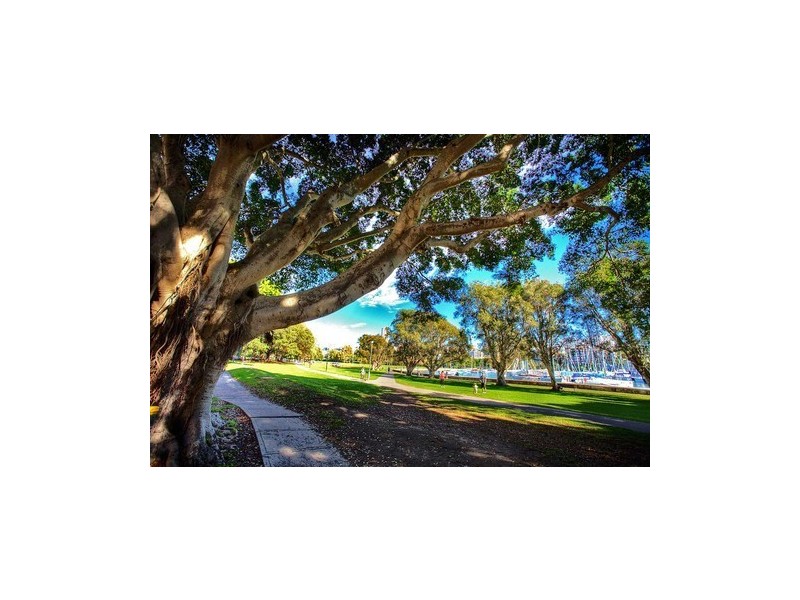 2 Kurraghein Avenue, Rushcutters Bay NSW 2011