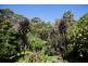 57 Buttenshaw Drive, Coledale NSW 2515