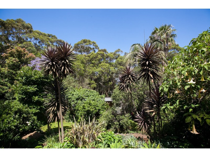 57 Buttenshaw Drive, Coledale NSW 2515