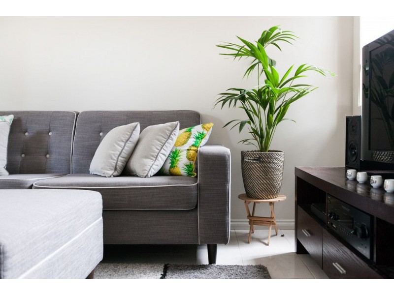 2/44 Keerong Avenue, Russell Vale NSW 2517