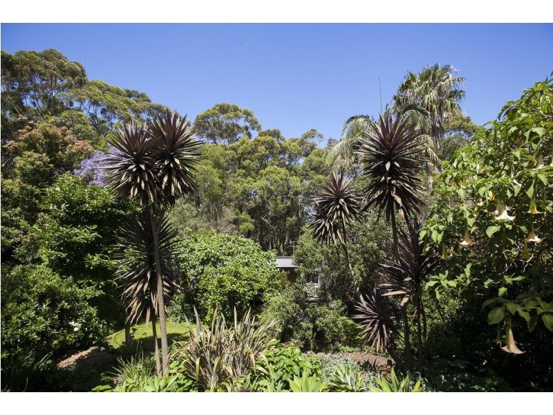 57 Buttenshaw Drive, Coledale NSW 2515