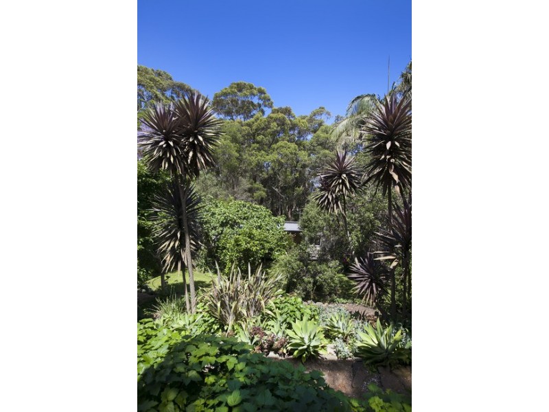 57 Buttenshaw Drive, Coledale NSW 2515