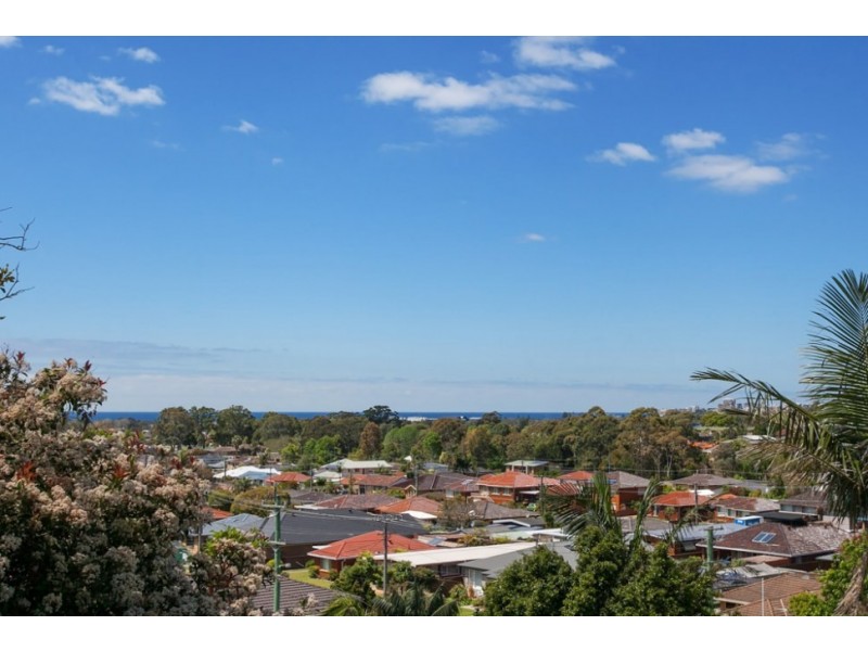 3 Frost Parade, Balgownie NSW 2519