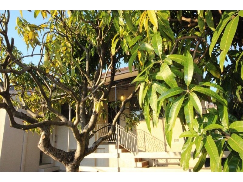 23 Trevanion Street, Five Dock NSW 2046