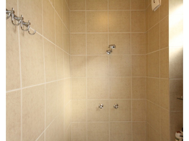 1A/106 Norton Street, Leichhardt NSW 2040