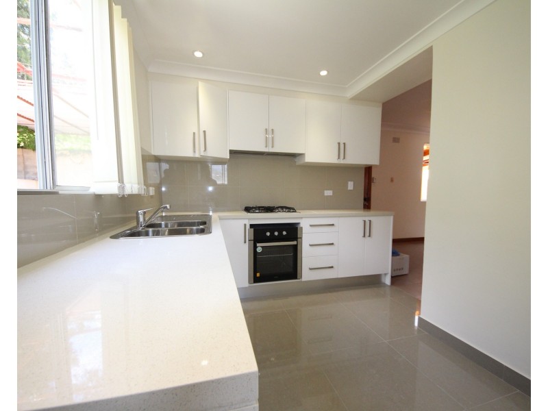 22 Wellesley Street, Summer Hill NSW 2130