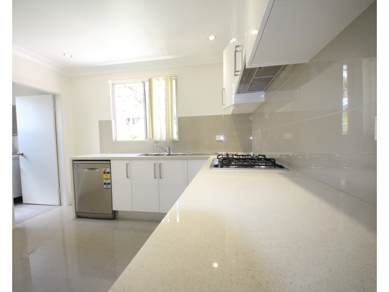 22 Wellesley Street, Summer Hill NSW 2130