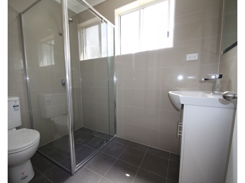 22 Wellesley Street, Summer Hill NSW 2130