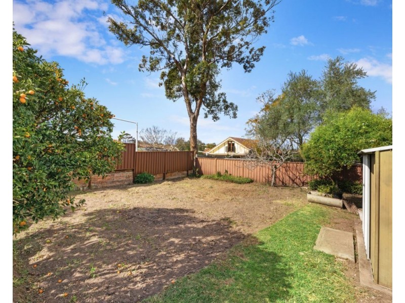 6 Melville Street, Ashbury NSW 2193