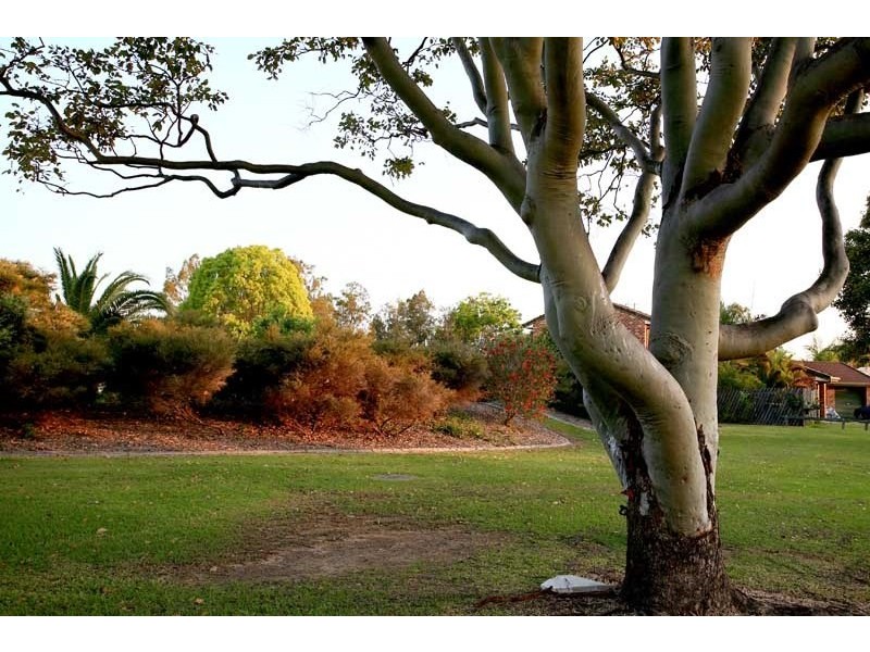 Burleigh Waters QLD 4220