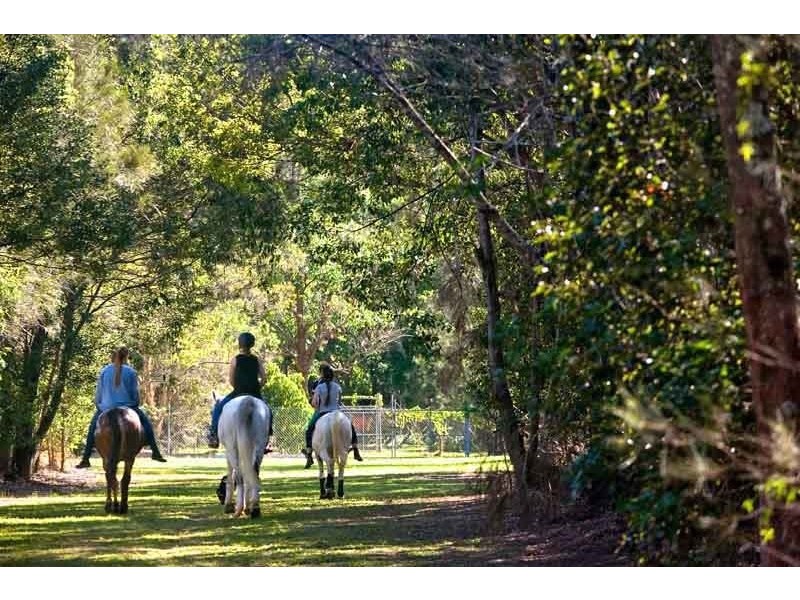 46 Larch Street, Tallebudgera Valley QLD 4228