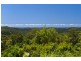 560 Tomewin Mountain Road, Currumbin Valley QLD 4223