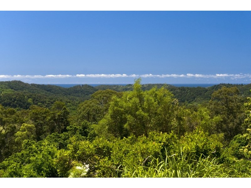 560 Tomewin Mountain Road, Currumbin Valley QLD 4223