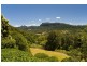560 Tomewin Mountain Road, Currumbin Valley QLD 4223