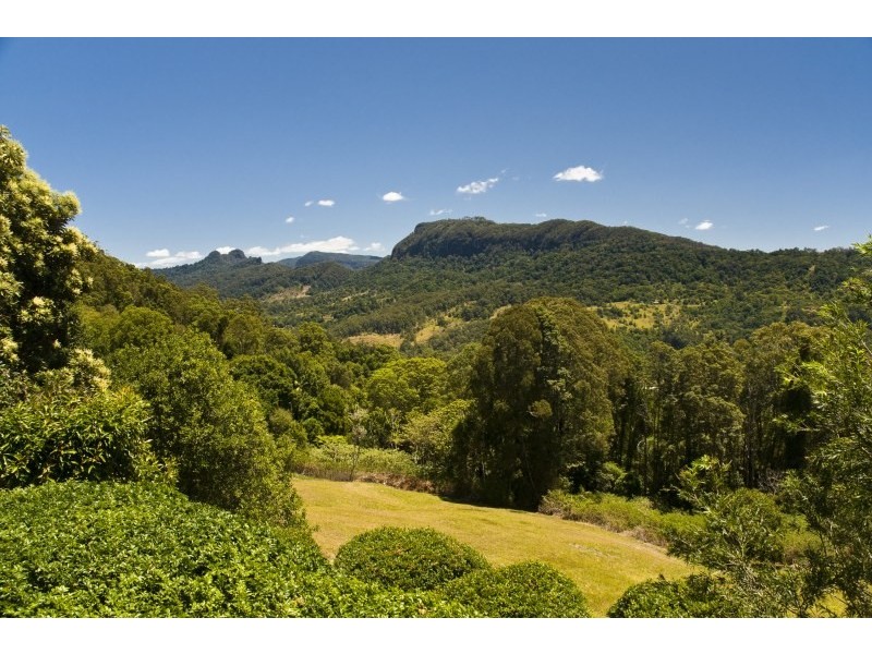 560 Tomewin Mountain Road, Currumbin Valley QLD 4223