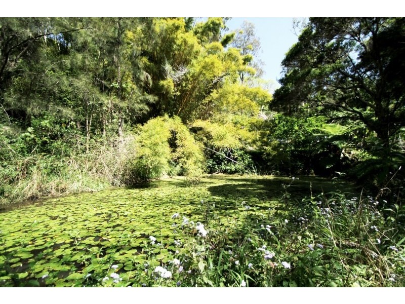 678 Tomewin Mountain Road, Currumbin Valley QLD 4223