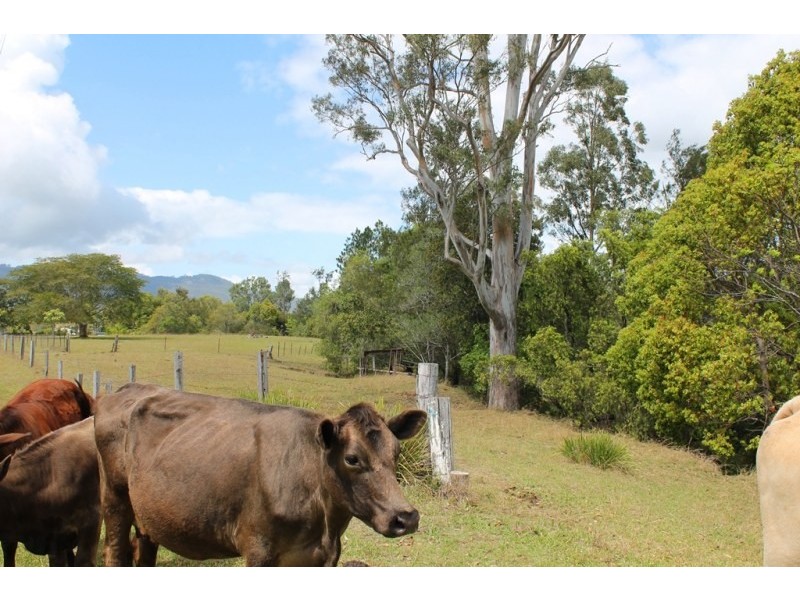 347 Mundoolun Road, Boyland QLD 4275