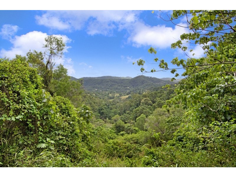 169 Ducats Road, Tallebudgera QLD 4228