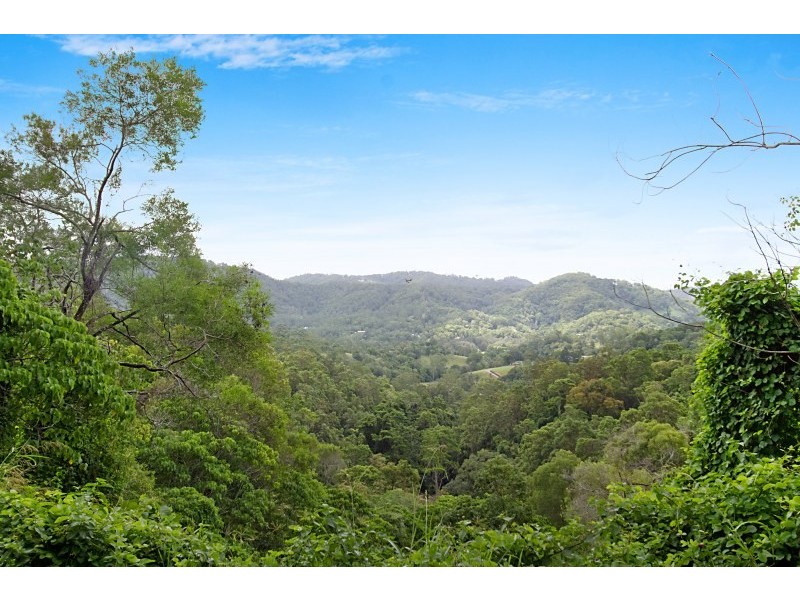 169 Ducats Road, Tallebudgera QLD 4228