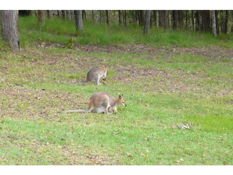 94-96 Red Oak Drive, Tallai QLD 4213