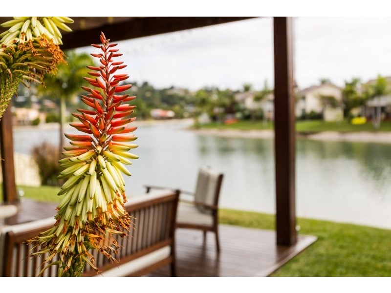 69 Guineas Creek Road, Currumbin Waters QLD 4223