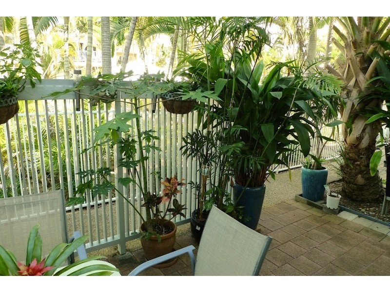 16 Crescent Avenue, Mermaid Beach QLD 4218