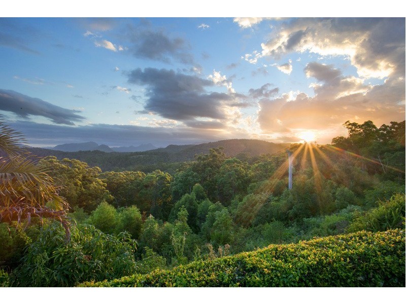 22 Brackenfield Court, Bonogin QLD 4213