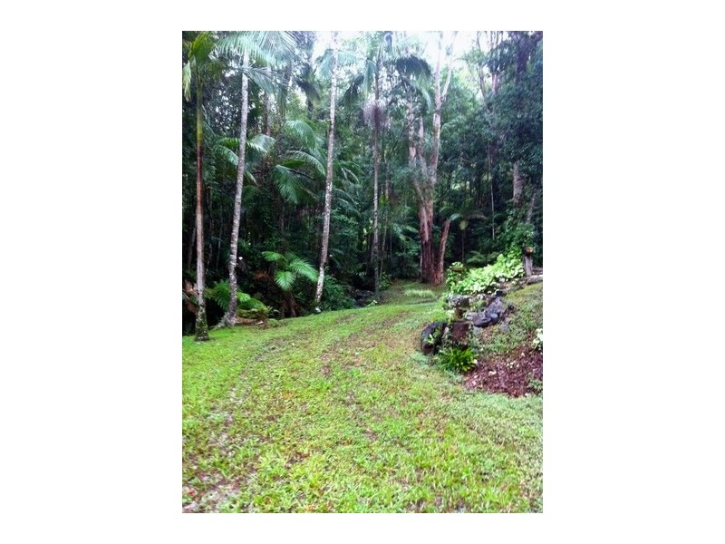 Tallebudgera Valley QLD 4228