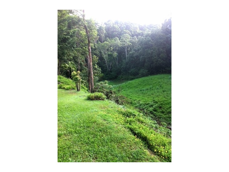 Tallebudgera Valley QLD 4228