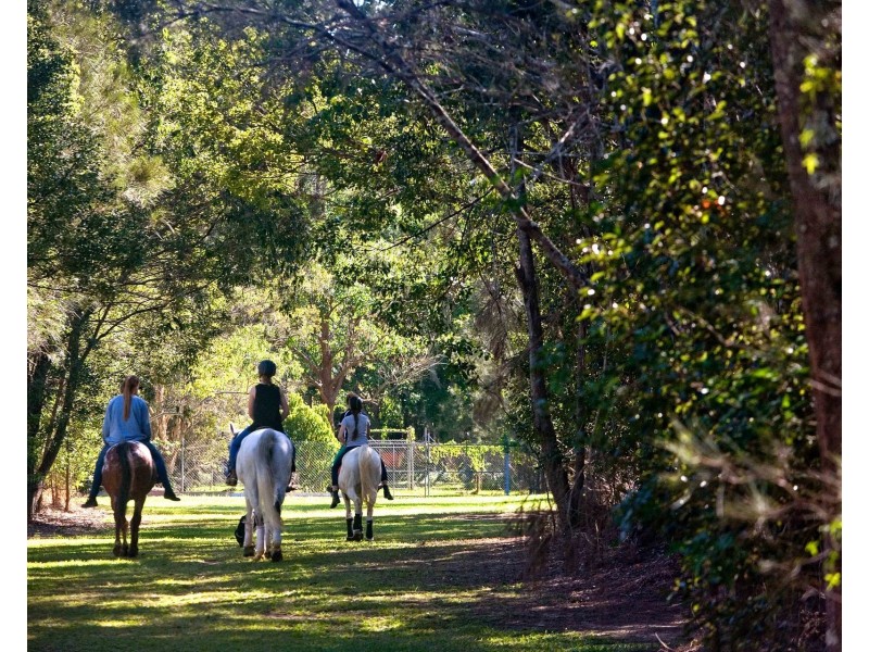 10 Larch Street, Tallebudgera QLD 4228