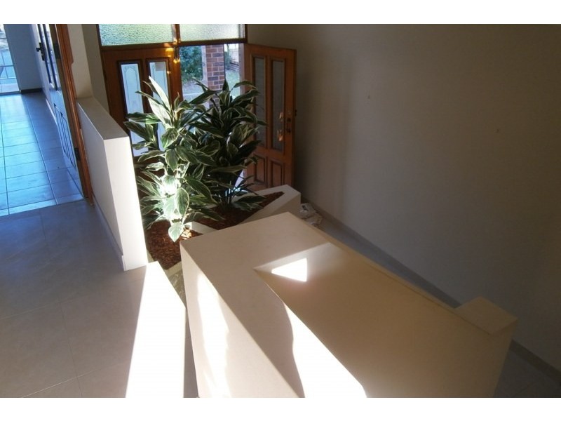 26 Tripod Street Street, Concord NSW 2137