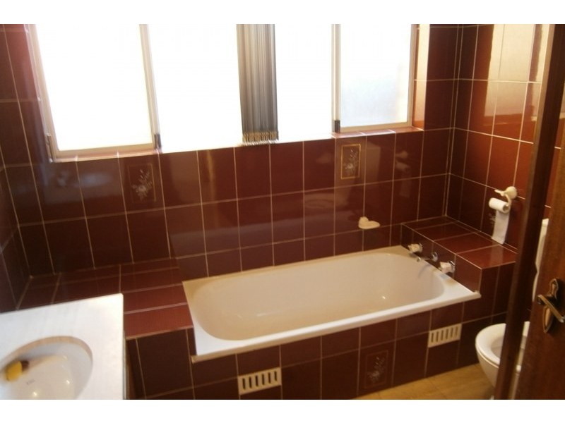 26 Tripod Street Street, Concord NSW 2137