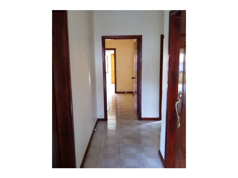 5 Frederick Street, Canterbury NSW 2193